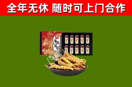 抚宁烟酒回收冬虫夏草礼盒.jpg
